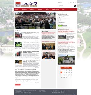 Molėtų VVG interneto svetainės kūrimas